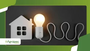 Saiba como solicitar assistência para custos de energia pelo LIHEAP
