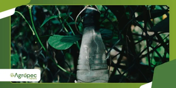 Como reutilizar embalagens e materiais recicláveis na horta