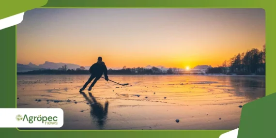 Apps para Assistir NHL ao Vivo: Opções Grátis e Onde Ver os Jogos